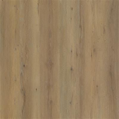 Leyton click SRC smoky
