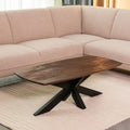 Salontafel Zane 120x56x40 cm Espresso Mangohout | Zwart Metaal