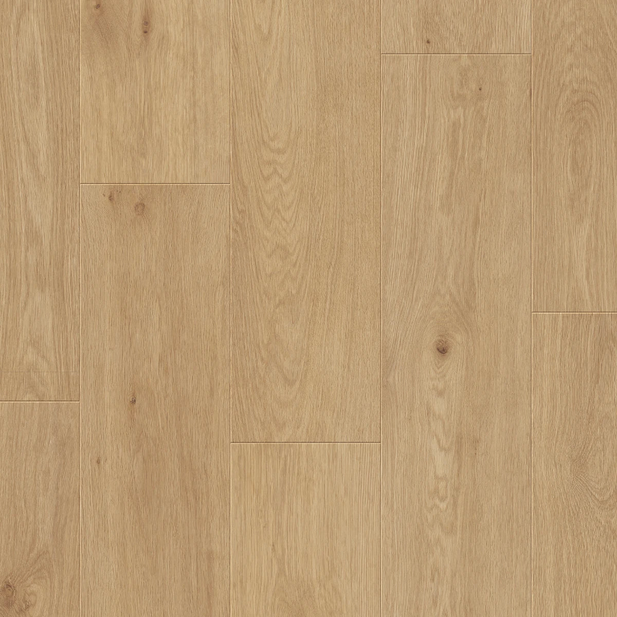 Napa Oak Klik - Laminaat
