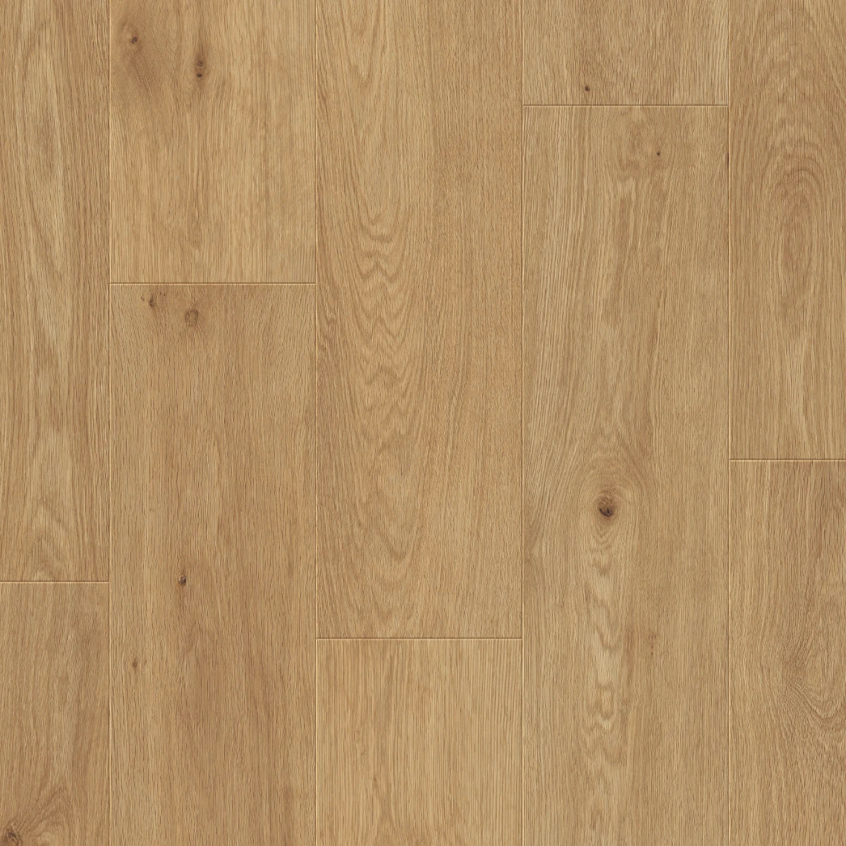 Kansas Oak Klik - Laminaat