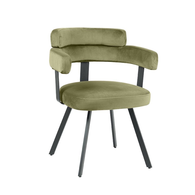 Eetkamerstoel Bardio 62x57x79 cm Hunter Fluweel | Zwart Metaal