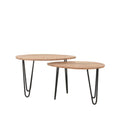 Salontafel Set Frisk 68x43x44 cm Rough Mangohout | Zwart Metaal