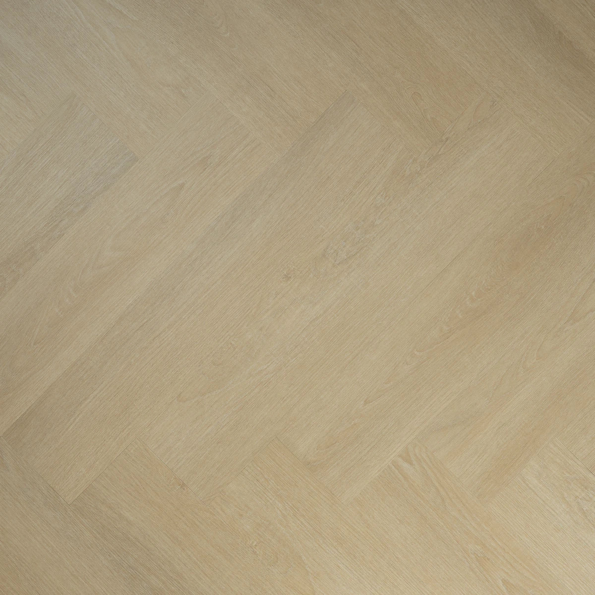 Larven Plak - PVC