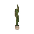 Kunstplant Cactus 30x25x130 cm Groen Kunststof