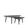 Salontafel Set Rock 110x64x39 cm Zwart Mangohout | Zwart Metaal