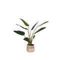 Kunstplant Strelitzia 70x70x100 cm Groen Kunststof