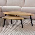 Salontafel Set Rock 110x64x39 cm Naturel Mangohout | Zwart Metaal