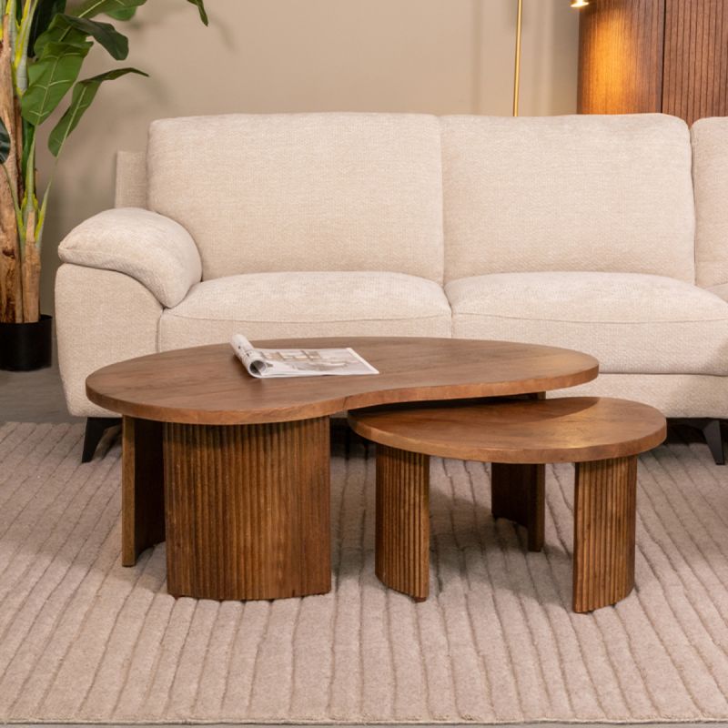 Salontafel Set Timon 100x58x40 cm Nature Smooth Mangohout