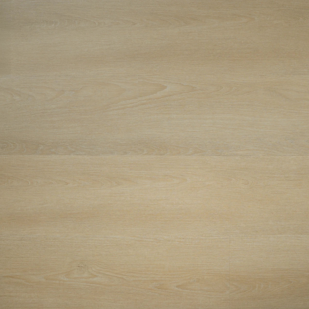 Larven Plak - PVC