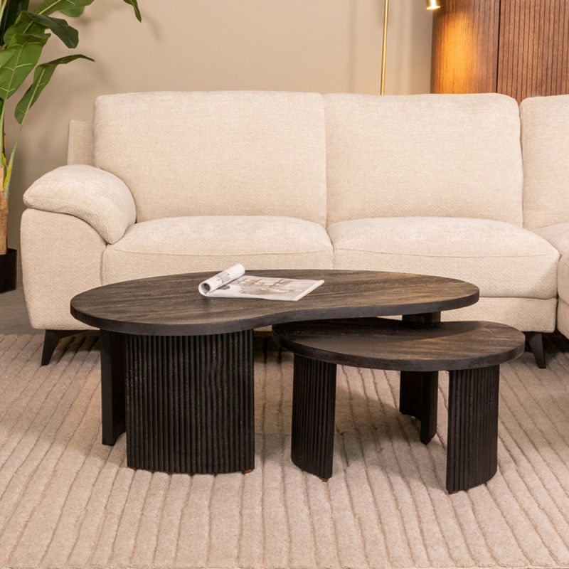 Salontafel Set Timon 100x58x40 cm Zwart Mangohout