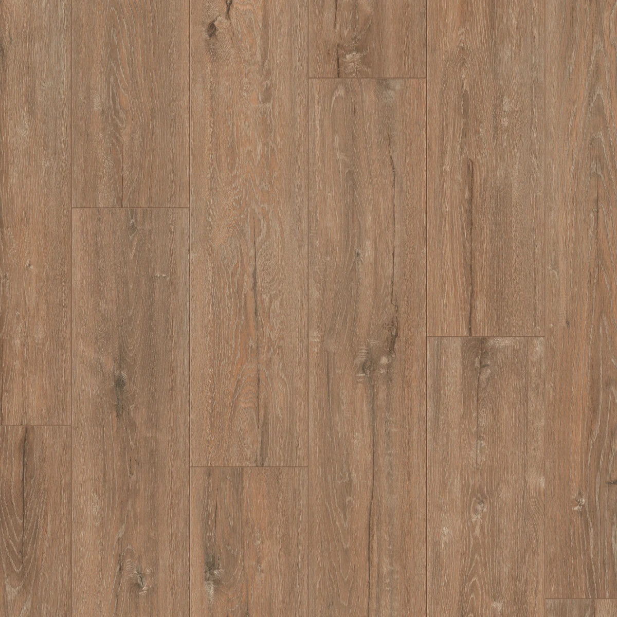 Forest Oak Klik - Laminaat