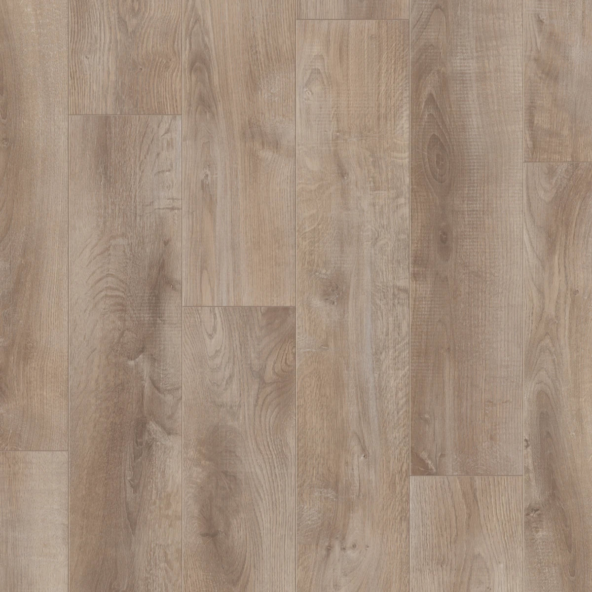 Desert Oak Klik - Laminaat