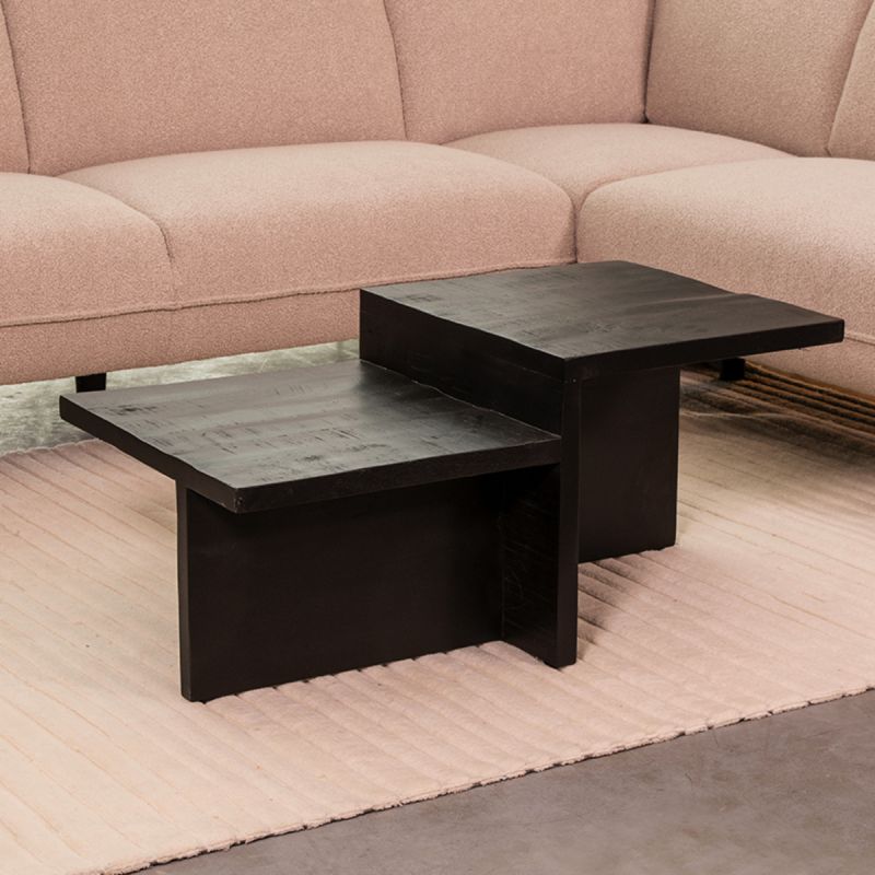 Salontafel Skip 90x50x40 cm Zwart Mangohout