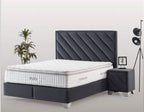 dento Boxspring