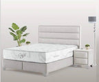 bando Boxspring