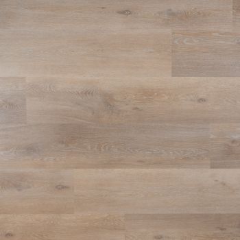 Ava Plank - Plak