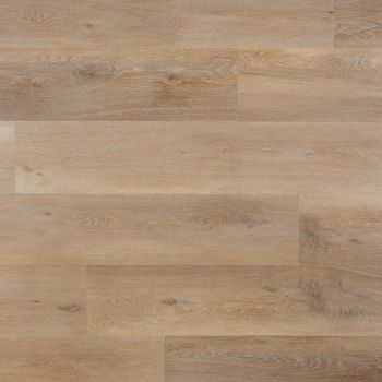 Lily Plank - Plak