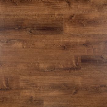 Dawn Plank - Plak