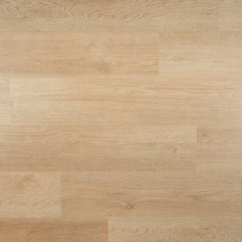 Crystal Plank - Plak